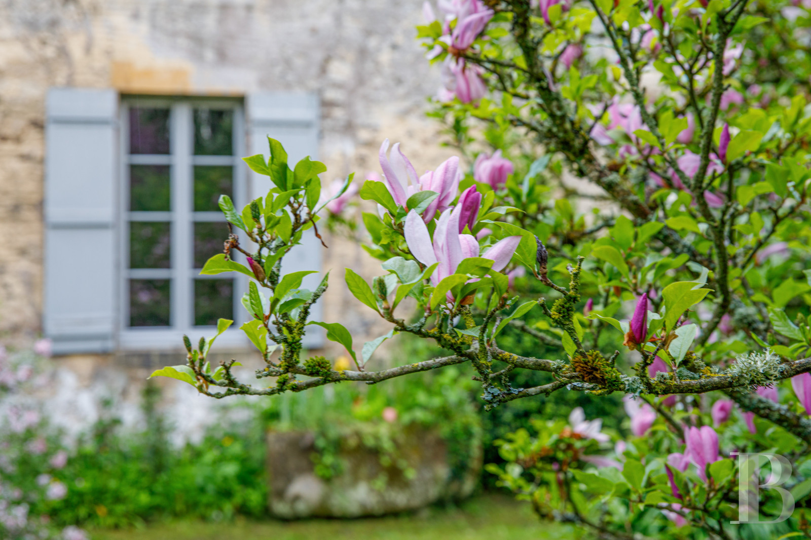 En Normandie, à Falaise, une maison des 17e et 18e siècles au cœur d’un quartier historique - photo  n°35